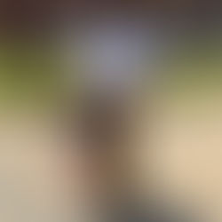 Collars for Clark Atlanta University’s Freshman