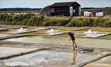 Marais salants, paludier, l'ile d'Olonne