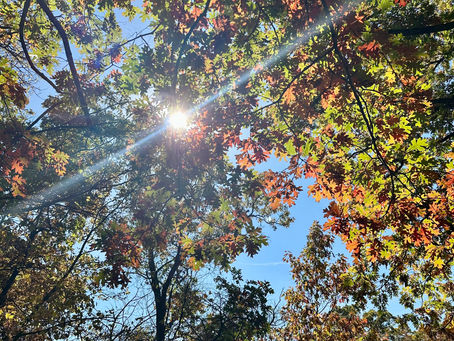 The Real Sunshine of Living