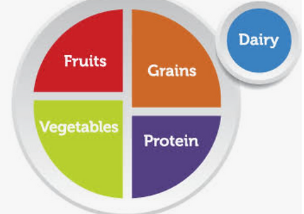 USDA MyPlate nutrition guide promoting balanced meals with fruits, vegetables, grains, protein, and dairy.
