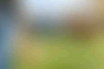 Bon cadeau, origineel cadeau, verjaardagscadeau, activiteiten met kinderen, activiteiten kinderen, activiteit kinderen, dagje uit cadeaukaart, Cadeau 18 jaar, belevenis cadeau, ideƫen voor verjaardagscadeau, bloemen cadeau, leuk verjaardagscadeau, leuke verjaardagscadeau, cadeau tiener, cadeau kind, verjaardag cadeau, cadeau tiener