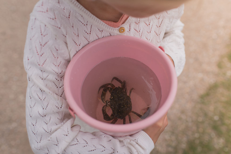 Zomeractiviteiten, Activiteiten met kinderen, Uitjes met kinderen, Wat te doen met kinderen, Wat te doen met kids, leuke uitjes met kinderen