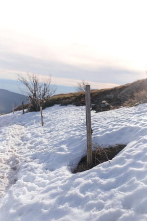 Wandelroute Grand Ballon - ballon alsace - ballon dalsace  - ballon d alsace - grand ballon -  le grand ballon  - webcam grand ballon