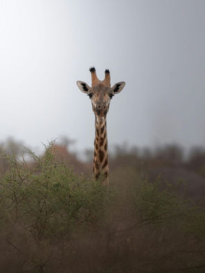 Individuele rondreis Zuid Afrika: onze reisvoorbereiding met Into the Sunshine