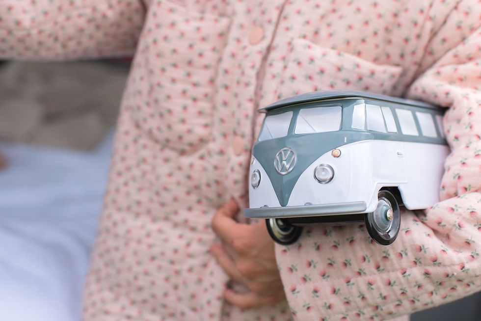 vw t3Ā - back to basics - Volkswagen T3 - Natuurcamping - kamperen - volkswagen westfalia camper - vintage camper - vw t3 camperĀ - Camperbus kopen - camperbusje kopen - Overnachten in de natuur - kamperen met kinderen