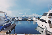 Harbor with boats