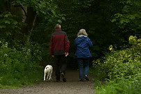 Elderly Couple Walking with Dog