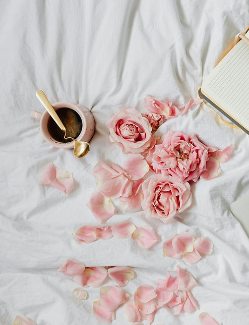 rose pink.jpeg