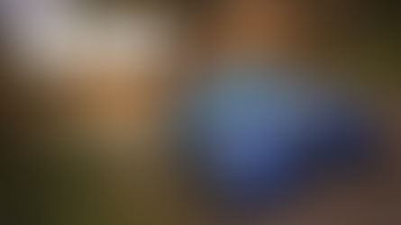 Análisis Dirt Rally PS4 y Xbox One