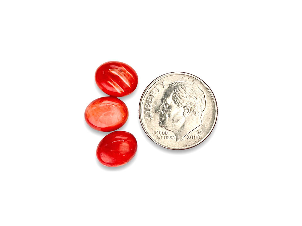 Thumbnail: red spiny oyster