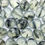 Thumbnail: tourmalinated prehnite cabochons rose cut