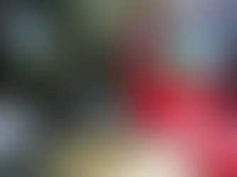 Artefato explosivo é encontrado no Jardim Sul em São José dos Campos