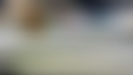 GBMar realiza buscas por embarcação desaparecida com família em São Sebastião