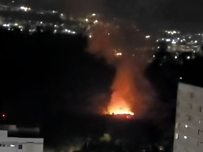 Incêndio atinge vegetação do Banhado em São José dos Campos