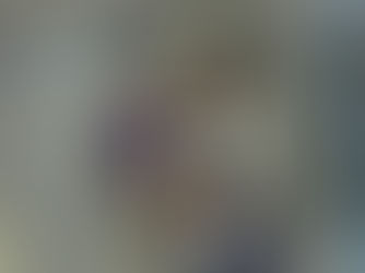 Vereadora dá “puxão de orelha” em vereador durante discussão em Lorena