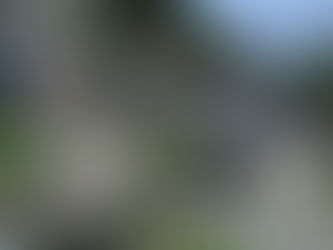 Corpo de homem é encontrado em área de mata em Ubatuba