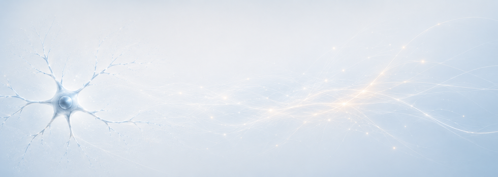 Neurone.png