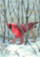 Cardinal Gryphon