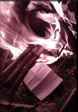 Captura de pantalla 2025-11-06 181108