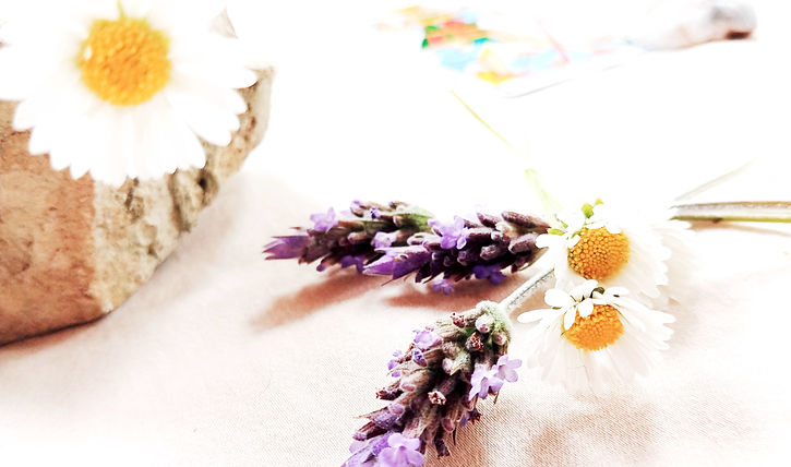 re loco_edited_edited.jpg