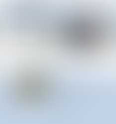 RPM launches new website for Hallmark Mitigation & Construction