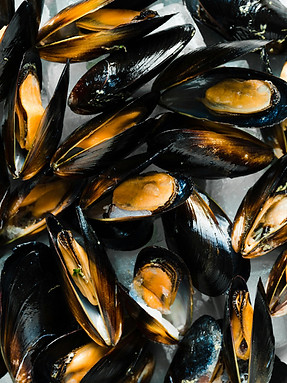 Moules.jpeg
