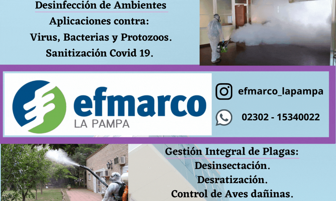 Efmarco mauro.gif
