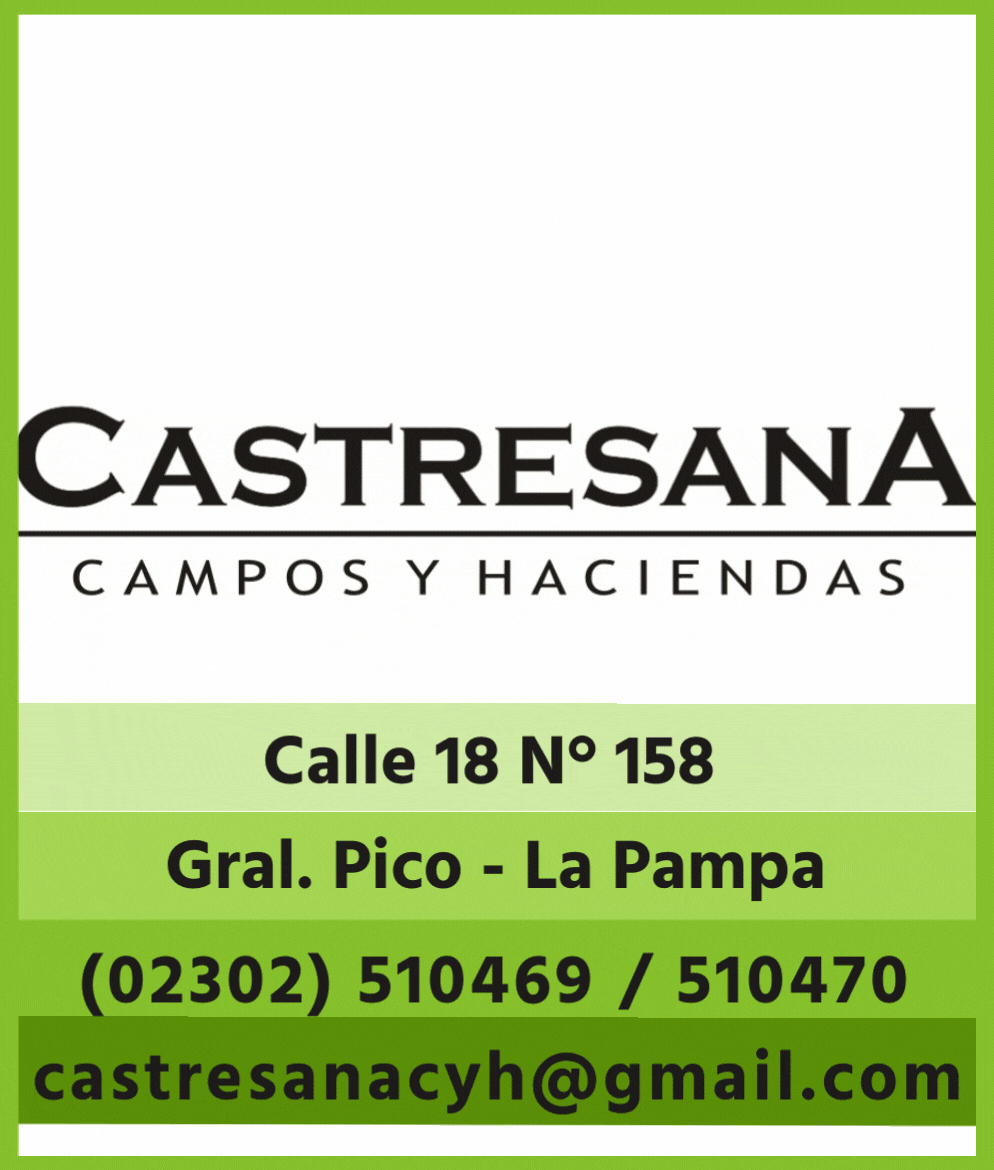 castresana 09 02.gif
