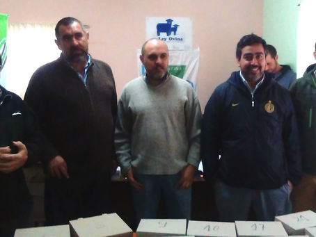 Exitosa venta de lana por licitación en Alta Italia