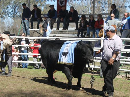 Fue un éxito la rural de Huinca Renancó