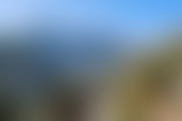 Colorado Springs Last Days