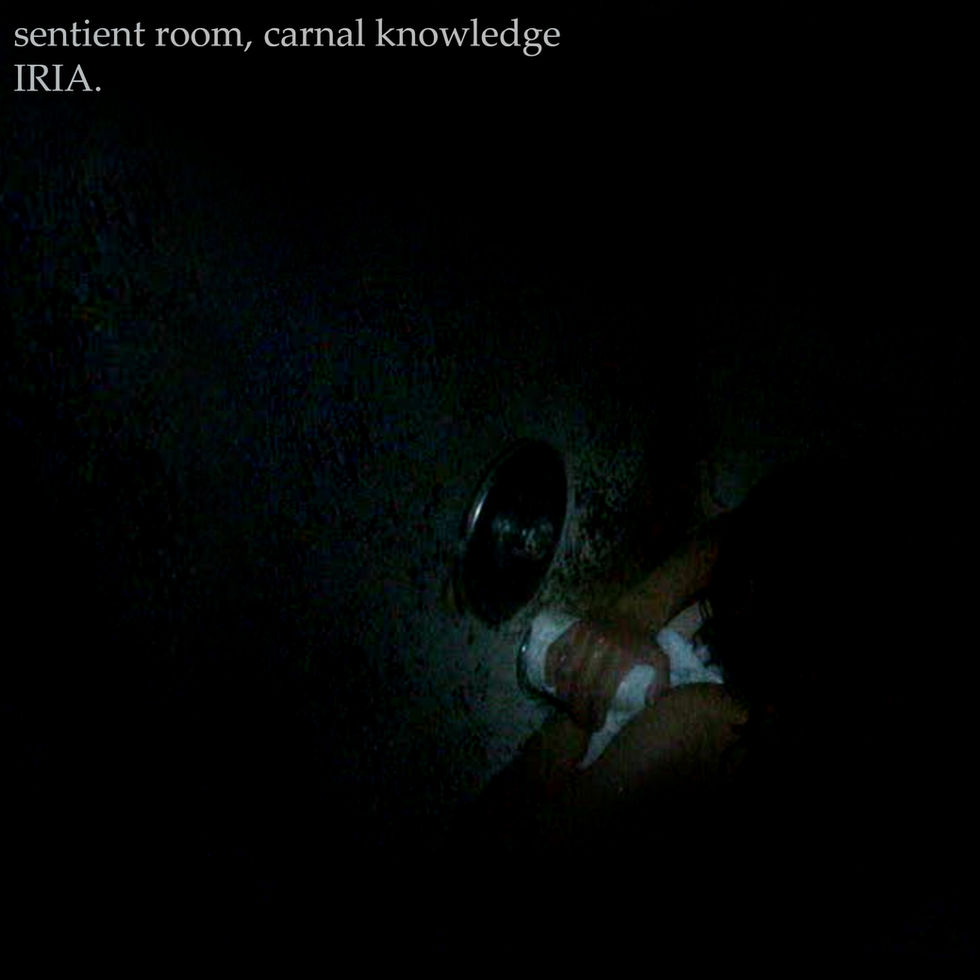 Sentient Room, Carnal Knowledge album