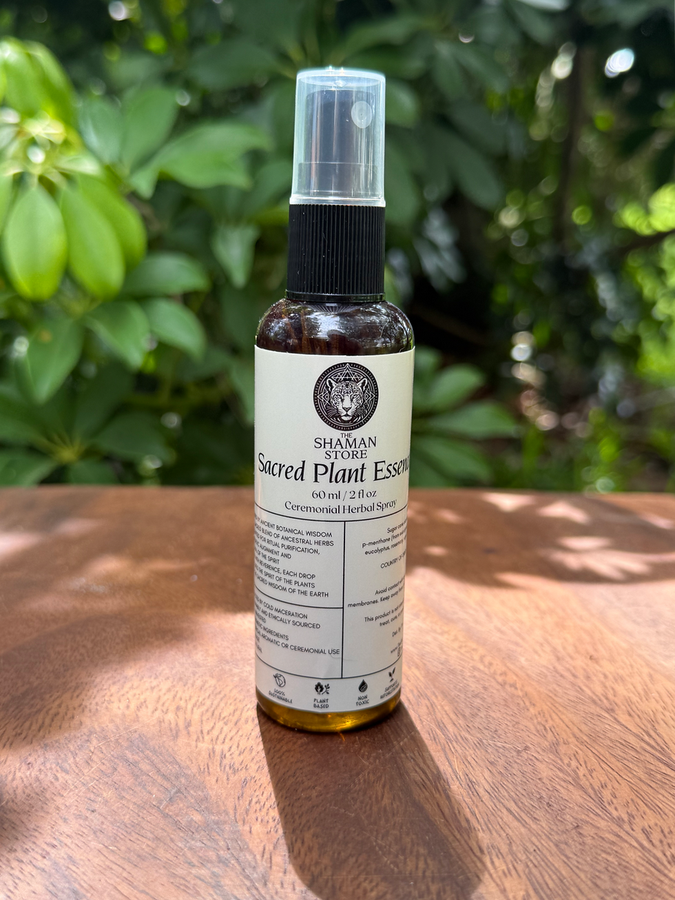 sacred-plant-Eucalyptus-essence-2oz