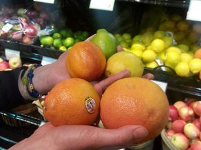 Obesity rates in Canada surged during the pandemic, study finds