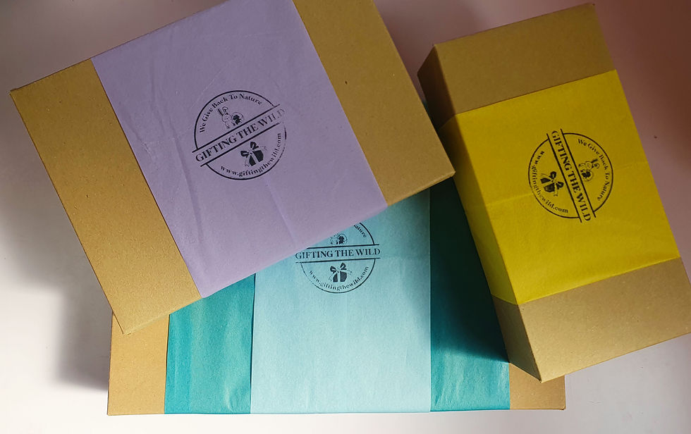 Thumbnail: The Roarsome Duo New Born Giftset