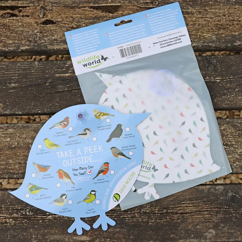 Thumbnail: Bird Identity Chart