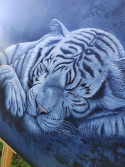 Tigre blanc