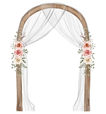 Darya & (9)_edited.png