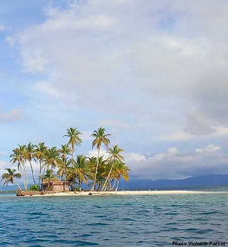 Petite île des San Blas bordée de cocotiers et entourée par la mer des Caraïbes