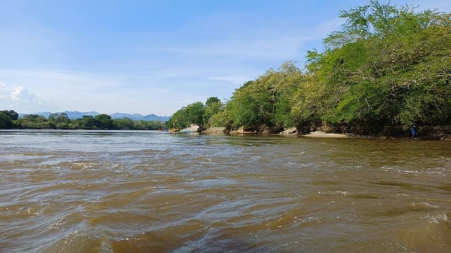 Paysage sur les rives du Río Magdalena