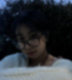 Virtual Writing Internship
