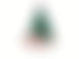 2025 Hope Around the Tree