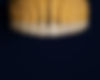 Teeth Display.jpg