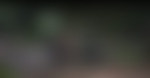 6/10/2025 - Military ready! Tanks in DC! Thugs arrested and deported!