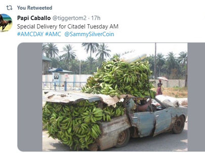 Flights Grounded/ FBI Boarded/NY lifts mandates! Apes sending bananas to Hedgies! Pool posts!