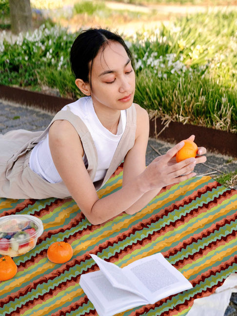 Sunset Picnic.jpg