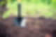 iStock-465908304.jpg