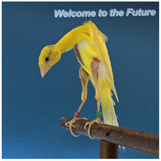 7A9656AA-1169-46EE-A24E-ABD1276EA905 3.p