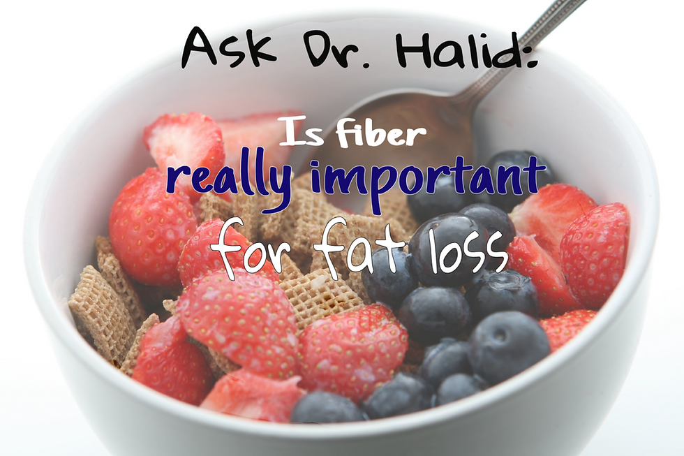 fiber main photo.png
