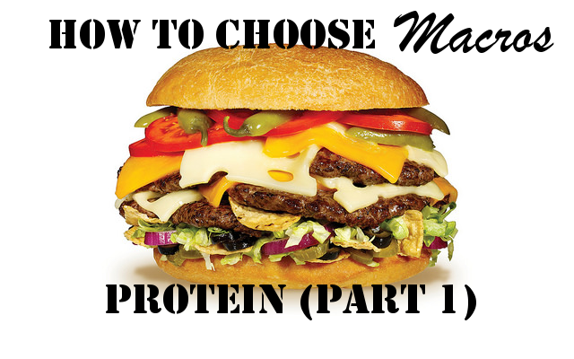 How to Choose Macros: Protein (Part I)
